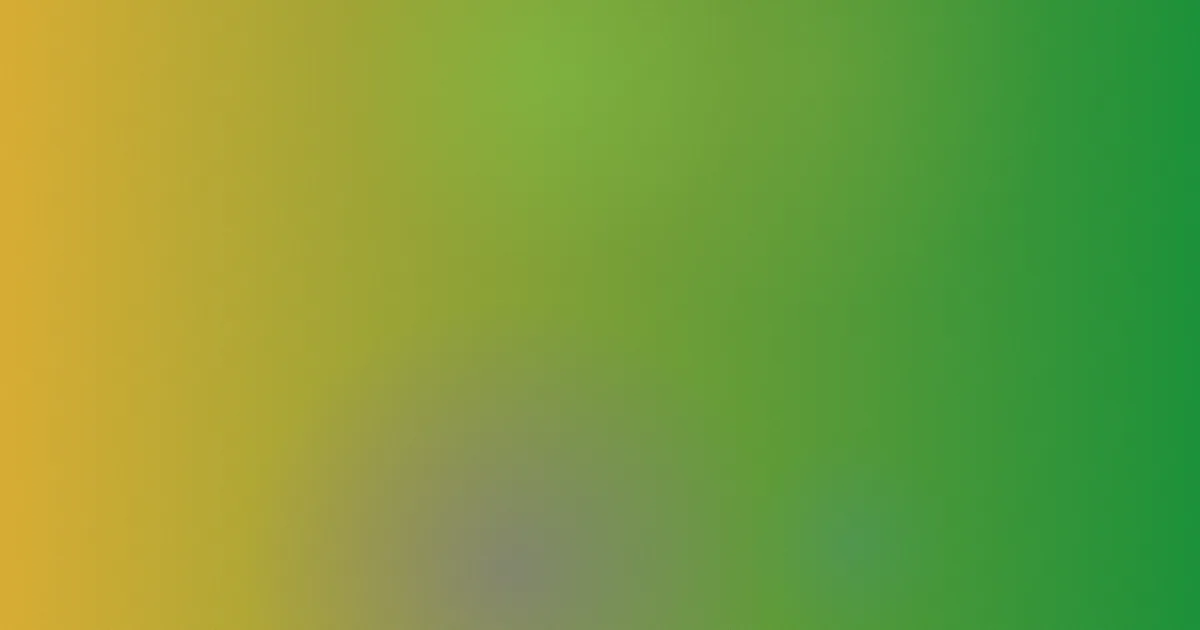 boner测评：别踩这些坑